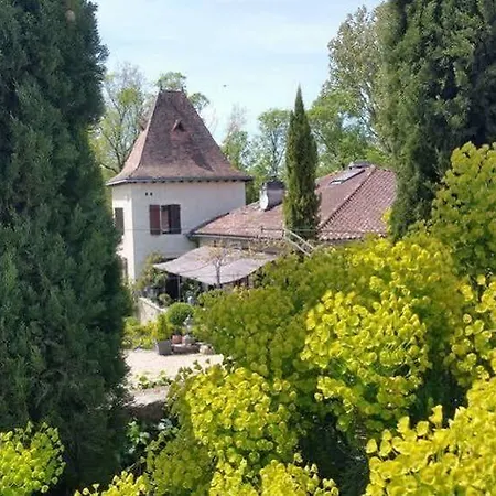 漠林鲁豪德旅馆